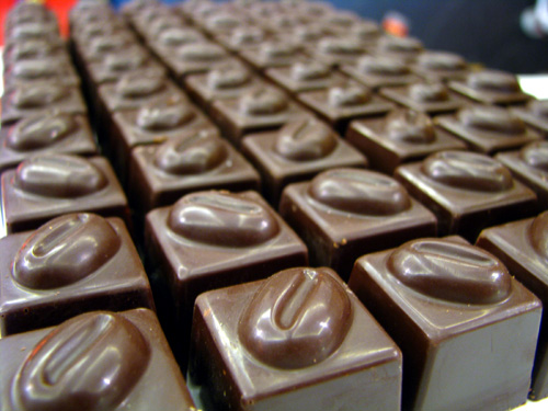 Rows of chocolates, small brown squares with the mold of a coffee bean on top neatly lined up..