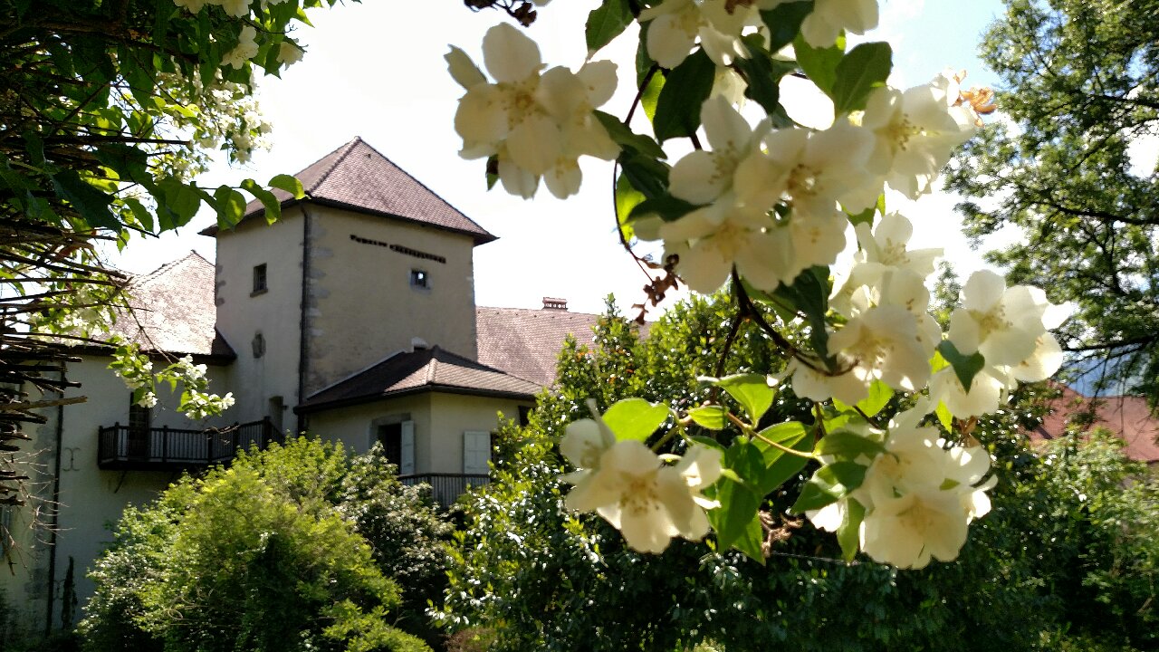 A view of the Priory through trees and flowers