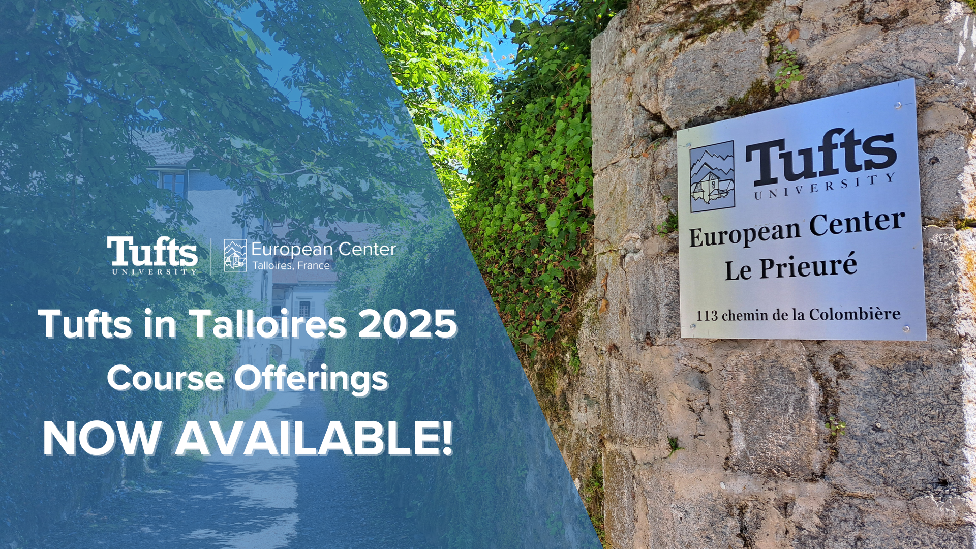 Tufts in Talloires 2025 Course Offerings!